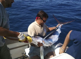 sacando el pez del agua